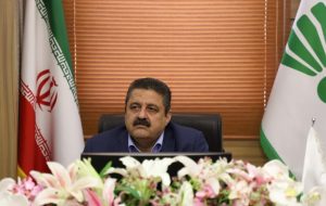 افزایش ۵۰ درصدی فروش و رشد سهام فروشگاه‌های رفاه