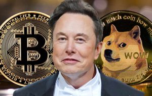 بیت کوین موفق خواهد شد – Dogecoin به ماه – بازارها و قیمت ها Bitcoin News