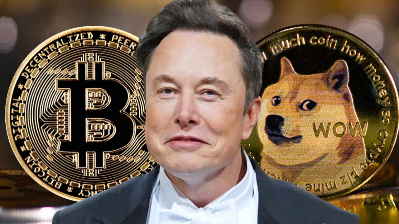 ایلان ماسک: بیت کوین موفق خواهد شد، Dogecoin به ماه