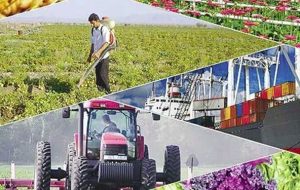 تاثیر مخرب حذف یارانه کود بر کشاورزی/ قیمت از ۲۵۰ هزار تومان به یک میلیون و ۲۹۰ هزار تومان می رسد تاثیر مخرب حذف یارانه کود بر کشاورزی/ قیمت از ۲۵۰ هزار تومان به یک میلیون و ۲۹۰ هزار تومان می رسد