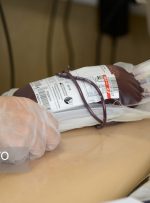 رشد ۹.۵ درصد اهدای خون در سال ۱۴۰۱/اهمیت اهدای خون در روزهای پایانی سال