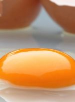 راه‌هایی برای تشخیص و مصرف تخم‌مرغ سالم