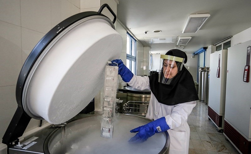 خون بند ناف