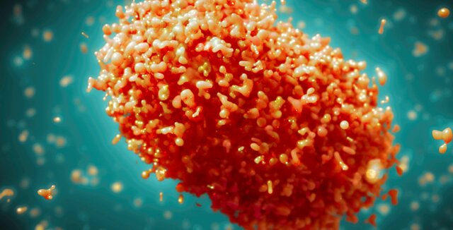 نام بیماری «آبله میمونی» تغییر کرد