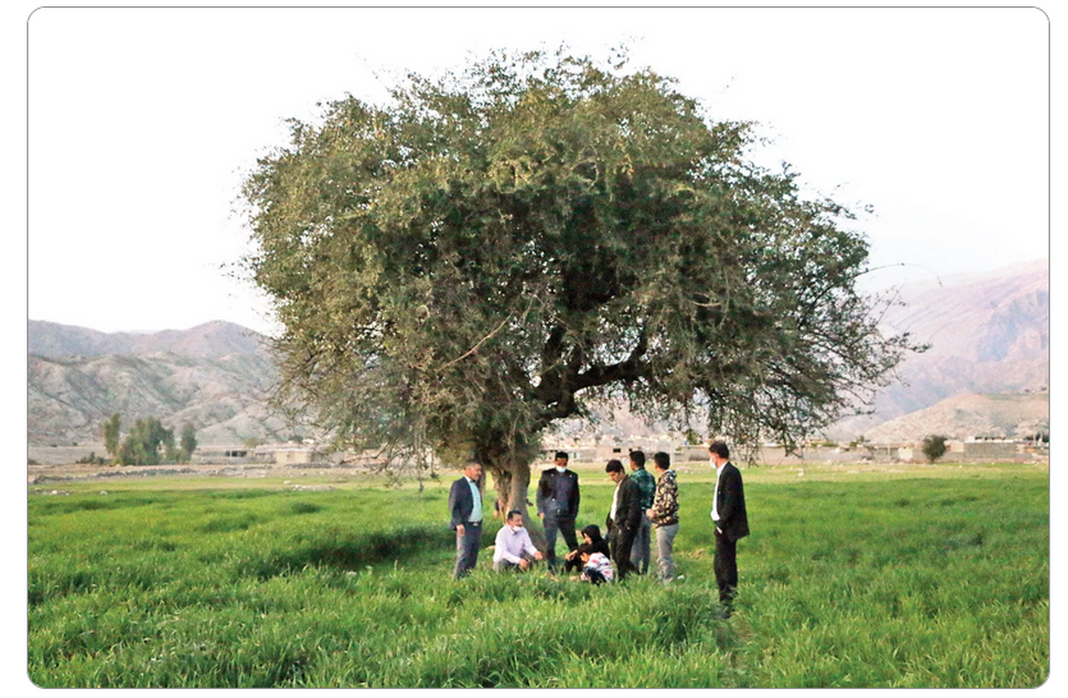 وضعیت مردم «مال‌استریت» دو سال پس از سقوط بورس/ می‌خواهم قلبم را یک میلیارد تومان بفروشم!