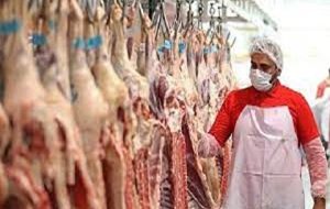 گوشت گوسفند باز هم گران شد/ بزودی فروش اینترنتی راه اندازی می‌شود