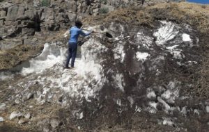 یک میراث ناملموس در معرض نابودی یک میراث ناملموس در معرض نابودی