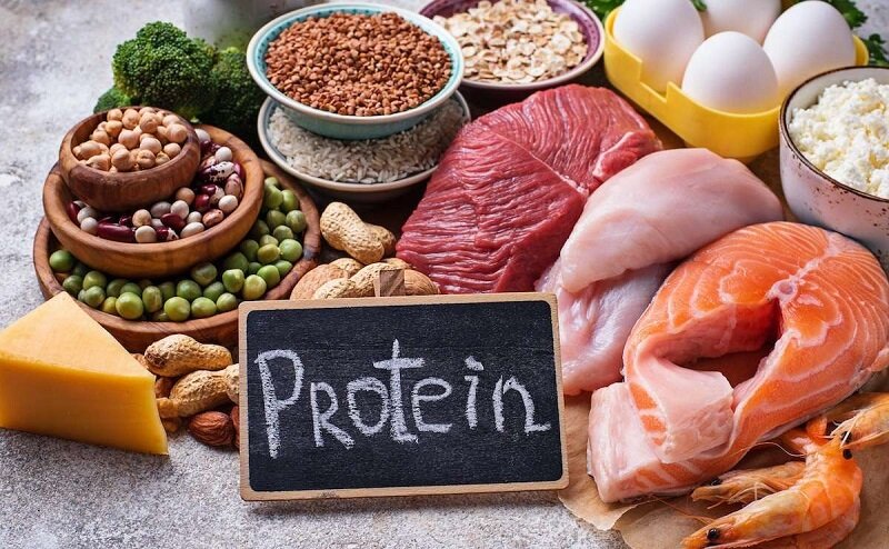 ۱۰ دلیل علمی برای مصرف بیشتر پروتئین