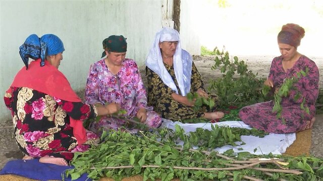 «نوغانداری و ابریشم‌بافی» به نام ایران و ۶ کشور دیگر ثبت جهانی شد