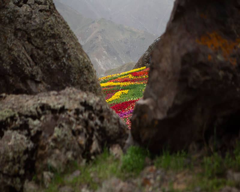 روستای کندر