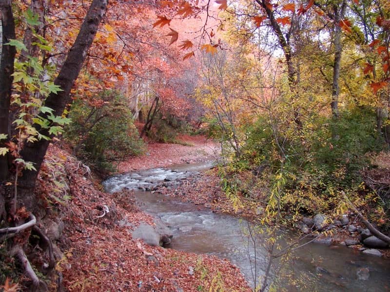 روستای برغان