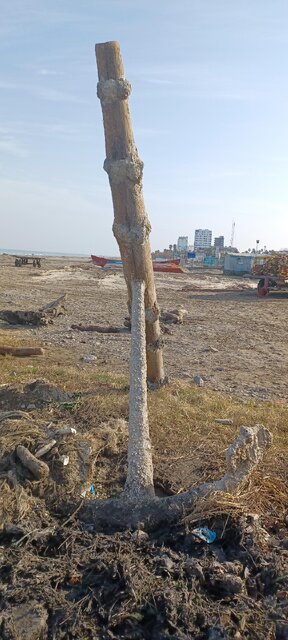 کشف لنگرعظیم در دریای مازندران و پایان باز یک معما