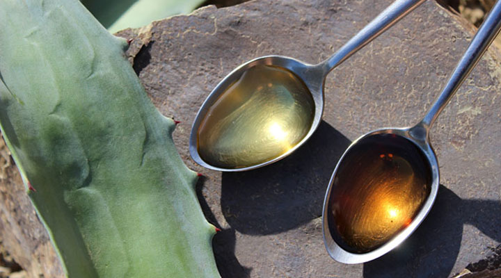 انواع شربت آگاو