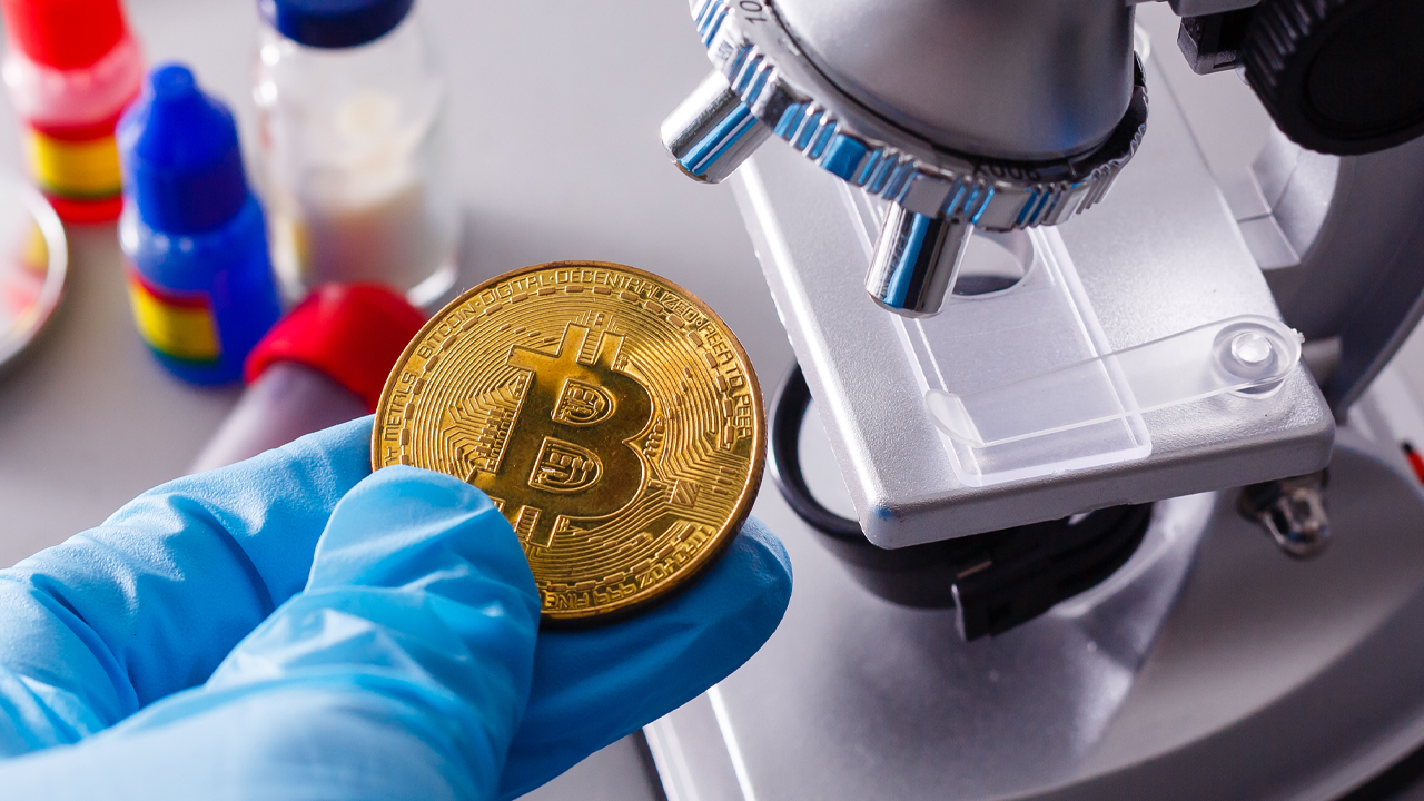 BTC، ETH، ADA، BNB پربیننده ترین دارایی های رمزنگاری شده در سال 2022 را رتبه بندی کردند.