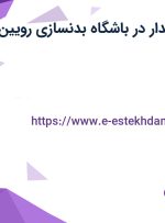 استخدام صندوقدار در باشگاه بدنسازی رویین تنان در تهران