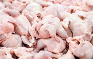 افزایش تقاضا برای خرید مرغ