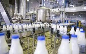 با رکورد دار تورم خوراکی ها آشنا شوید؛افزایش ۵۵ برابری قیمت شیر خام طی ۲ دهه! با رکورد دار تورم خوراکی ها آشنا شوید؛افزایش ۵۵ برابری قیمت شیر خام طی ۲ دهه!