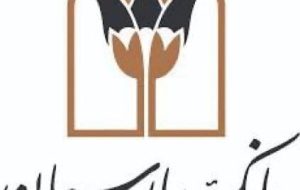 خنثی‌سازی تحریم دارو با ورود بانک پارسیان به ساخت داروهای خاص