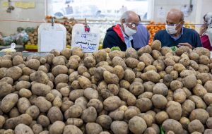 سیب زمینی صدر نشین شد و صعود کرد