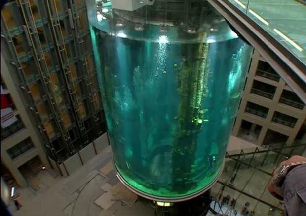 شکسته‌شدن آکواریوم هتل، فاجعه به بار آورد