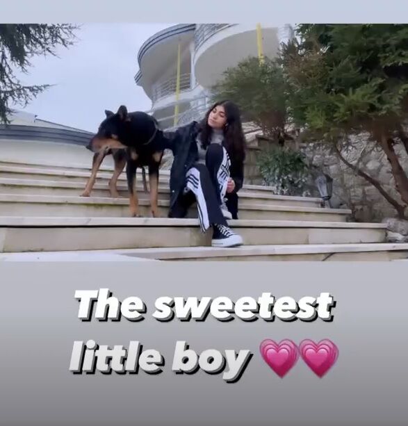 عکس| ویلای علی دایی به یک نگهبان بزرگ‌جثه مجهز شد!