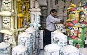 قیمت انواع برنج ایرانی و خارجی در بازار