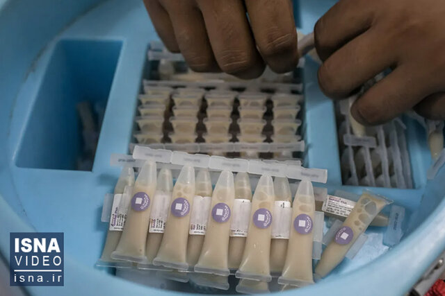 ویدئو / پایان ذخیرۀ جهانی واکسن وبا؟