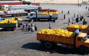 چرا محصولات کشاورزی ایران از امارات برگشت خورد؟آلوده بودن محصولات کشاورزی صحت دارد؟ چرا محصولات کشاورزی ایران از امارات برگشت خورد؟آلوده بودن محصولات کشاورزی صحت دارد؟