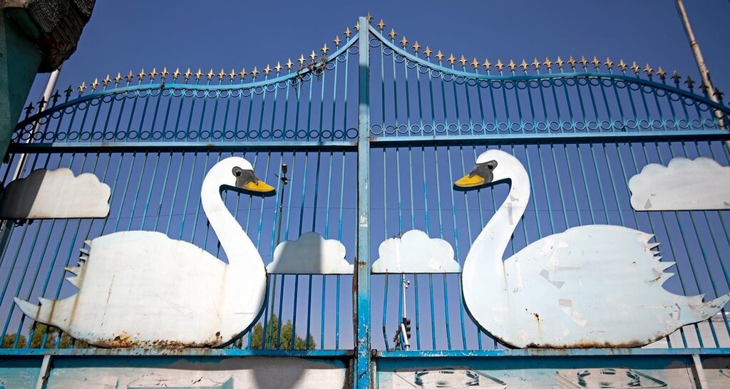 چطور یک بچه پولدار با رفیقش در جنوب‌ تهران کارخانه ساختند؟ | وقتی «قو» آمد، دنبه و پیه از مطبخ‌ها رفت | صابونی که به تن آمریکایی‌ها هم خورد!