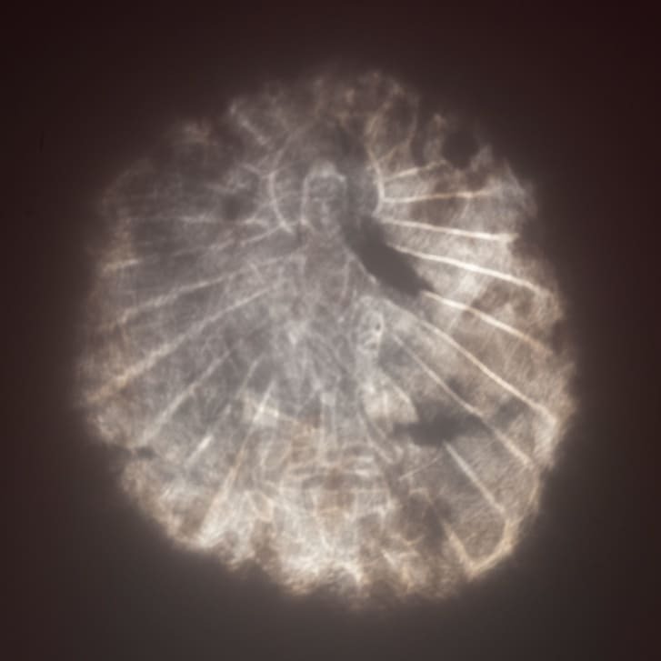 کشف معمای آینه