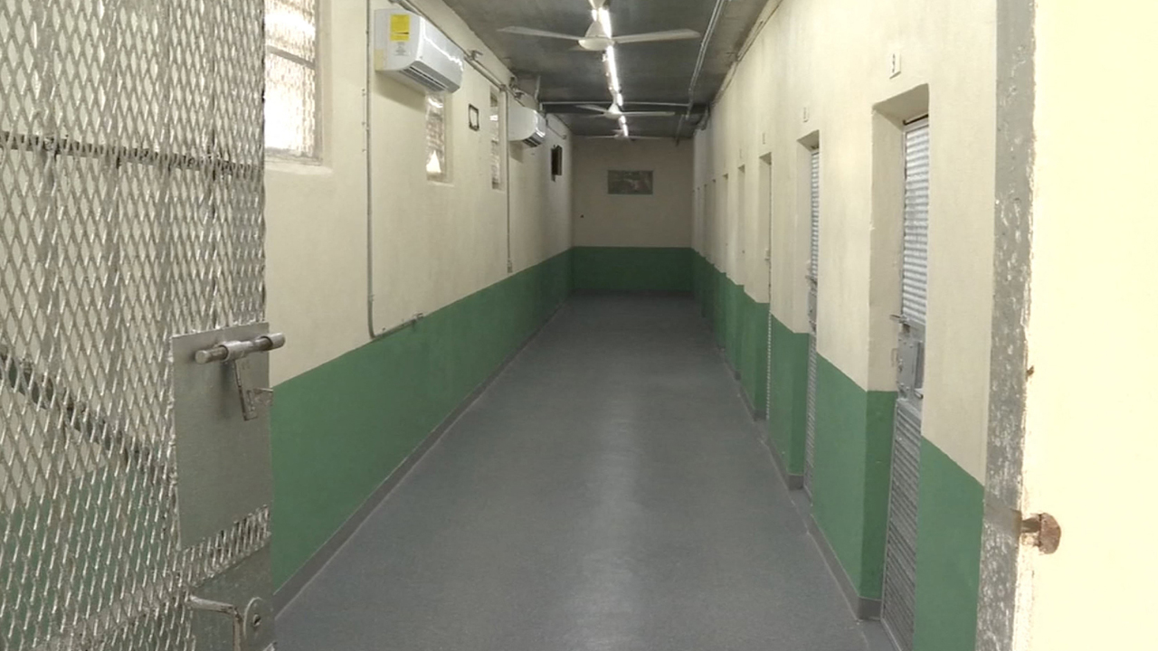 کمیسر اصلاحات باهاما می‌گوید بنیانگذار FTX، بنکمن-فرید، در «ارواح خوب» در خلیج بیمار زندان است.