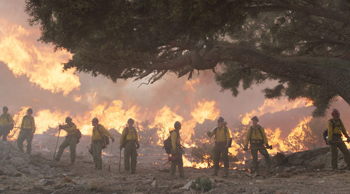 فیلم فاجعه - تنها شجاعان