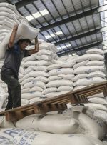 آخرین وضعیت صادرات برنج/ چرا برنج ایرانی به روسیه می رود؟