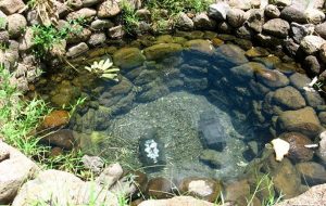 چاه آرزوی سه هزار ساله + عکس چاه آرزوی سه هزار ساله + عکس