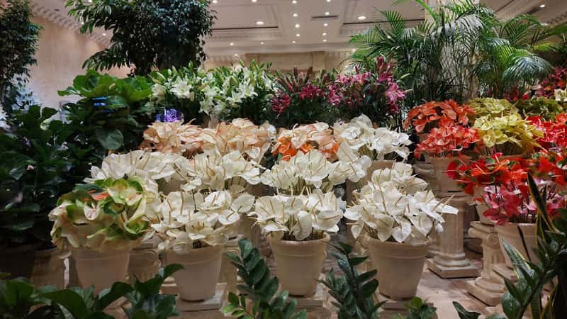 گل فروشی بهرام