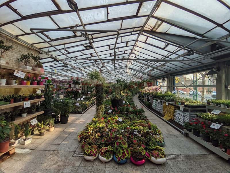 گلخانه زعیم