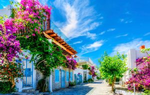 ۶ شب اقامت در هتل های کوشی آداسی چقدر هزینه دارد؟ + جدول قیمت