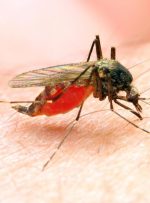 جزئیات اقدامات “خانه حشرات” انستیتو پاستور ایران / ضرورت استمرار رصد مالاریا در کشور