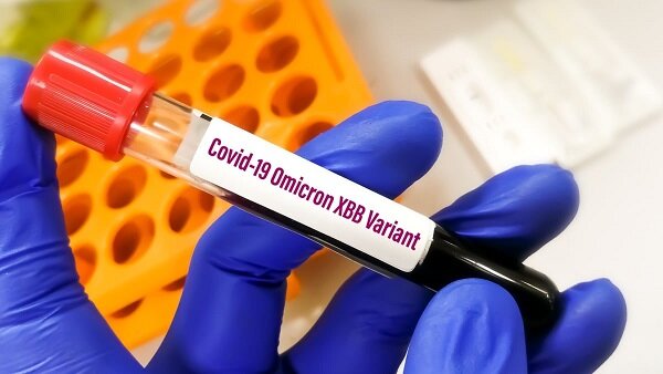 از واریانت جدید XBB.1.5 چه می‌دانیم؟/ «هم ایمنی‌گریزتر است و هم در انتشار شدیدتر عمل می‌کند»
