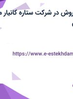 استخدام مدیر فروش در شرکت ستاره کانیار مه گستران در تهران