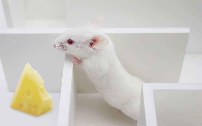 با این راهکارها همیشه انگیزه داشته باشید