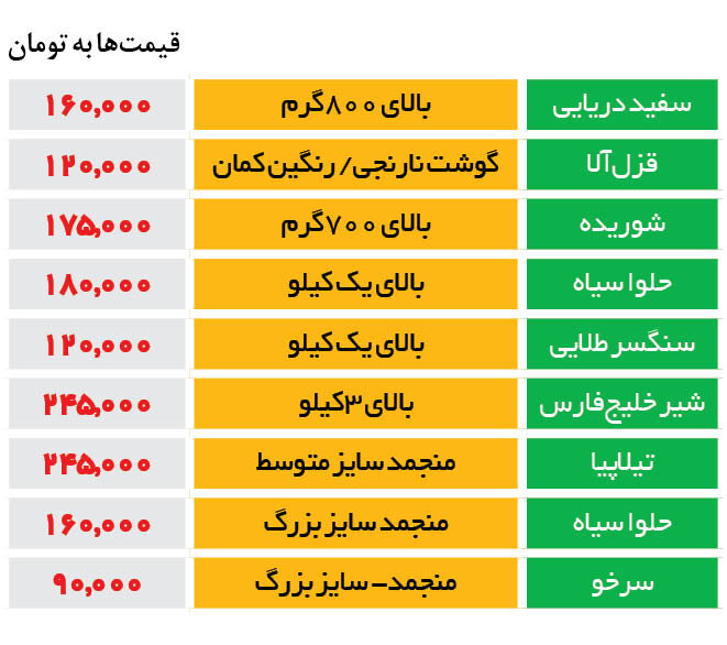 افزایش قیمت ماهی در میادین | قزل آلا کیلویی چند؟