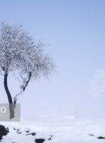 ایسنا – درختان یخی – همدان