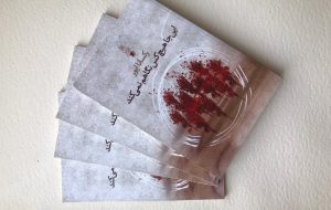 ترس‌ها و اضطراب‌های خانواده، محور چند قصه در هم تنیده/هزارتوی تاریک و روشن خاطرات که دست از سر ما برنمی‌دارد