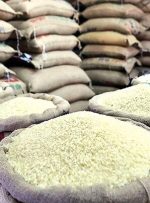 تشریح دلیل ممنوعیت واردات برنج هندی/ فعلا امکان جایگزینی نداریم