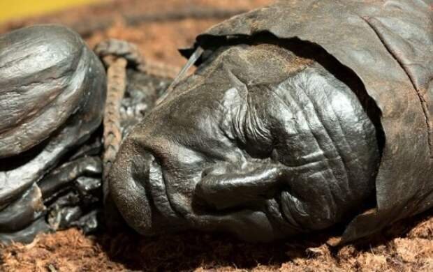 خانواده‌های ایرانی می‌توانند درخواست مومیایی اموات خود را بدهند؟/ قیمت مومیایی اجساد