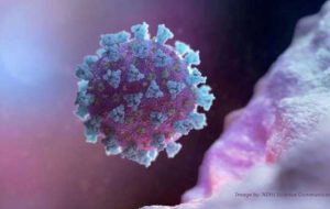 دانشمندان بریتانیایی قصد دارند توالی ژنومی را از کووید به آنفولانزا گسترش دهند