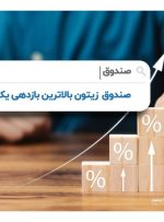 صندوق زیتون بالاترین بازدهی را در سال ۲۰۲۲ میلادی کسب کرد