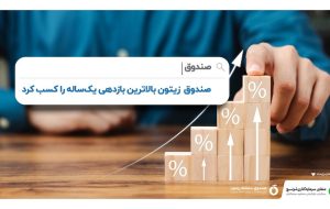 صندوق زیتون بالاترین بازدهی را در سال ۲۰۲۲ میلادی کسب کرد