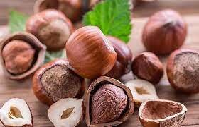 فواید شگفت‌انگیز فندق برای سلامتی بدن